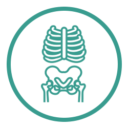 White Xray Icon White Xray Icon